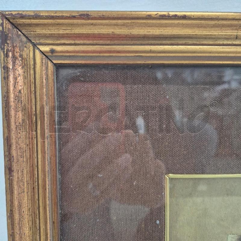 QUADRO OLIO SU TELA FOSCHI BROCCHE FUNGHI | Mercatino dell'Usato Cervia 4