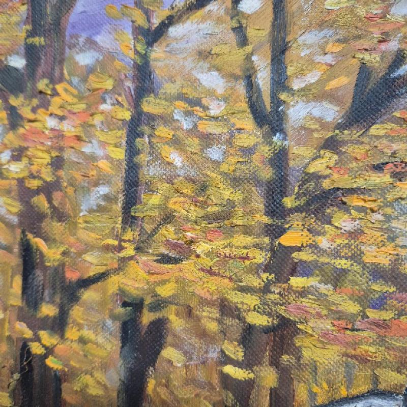 QUADRO OLIO SU TELA GIGLIO PAESAGGIO AUTUNNALE FIUME | Mercatino dell'Usato Cervia 3