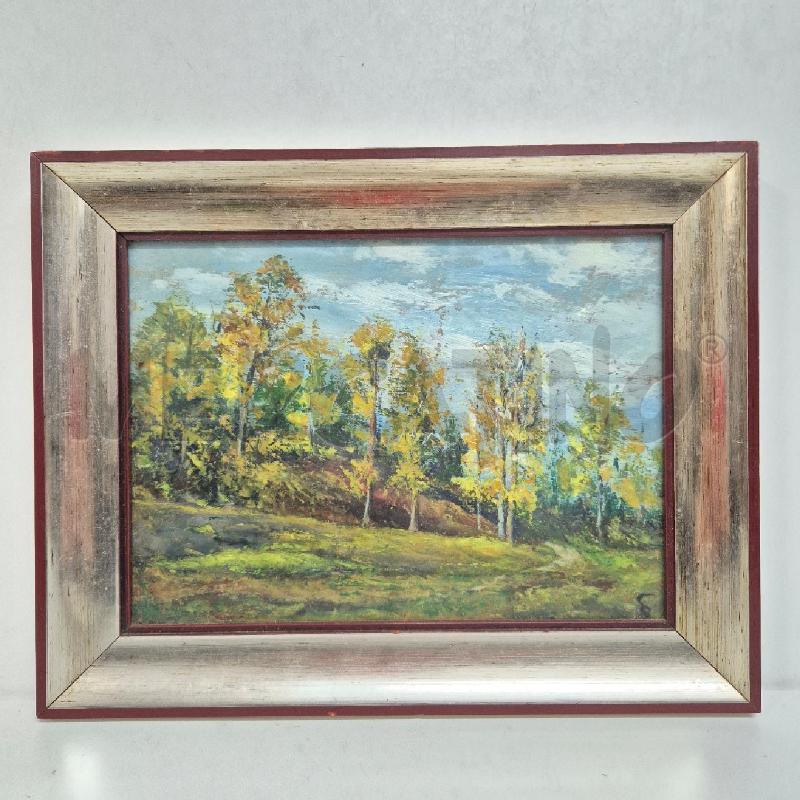 QUADRO OLIO SU TELA GIORGIO BACCANELLO | Mercatino dell'Usato Cervia 1