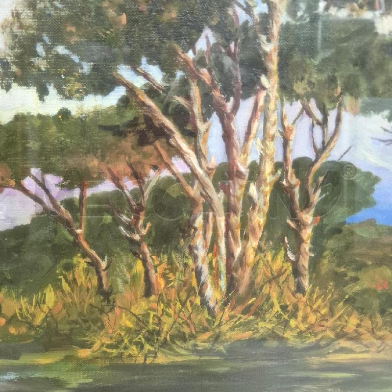 QUADRO PINI CON ACQUA CORNICE ARGENTATA | Mercatino dell'Usato Cervia 2
