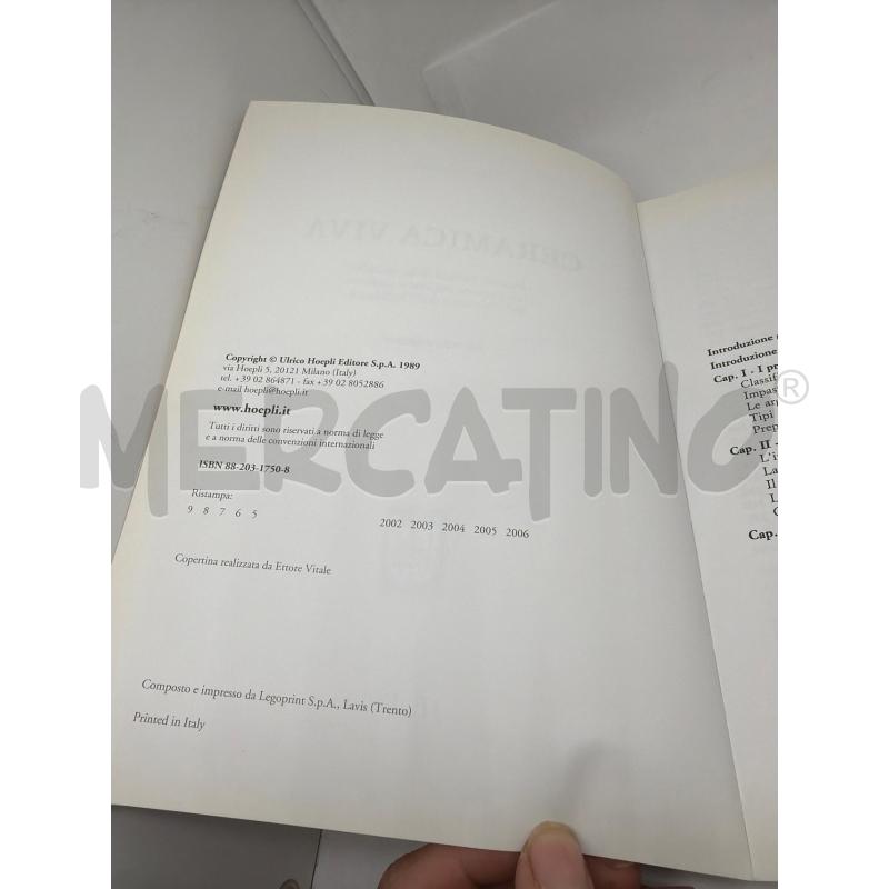CERAMICA VIVA - HOEPLI NINO CARUSO  | Mercatino dell'Usato Faenza 2