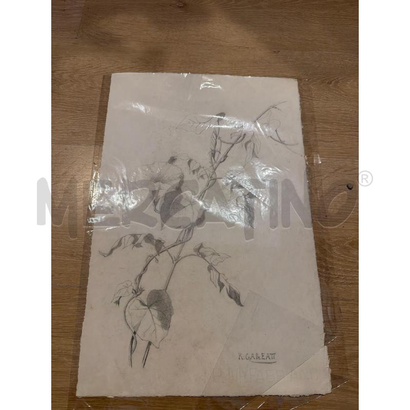 DISEGNO INIZI 900 COLLEZIONISMO CARTACEO  | Mercatino dell'Usato Faenza 1