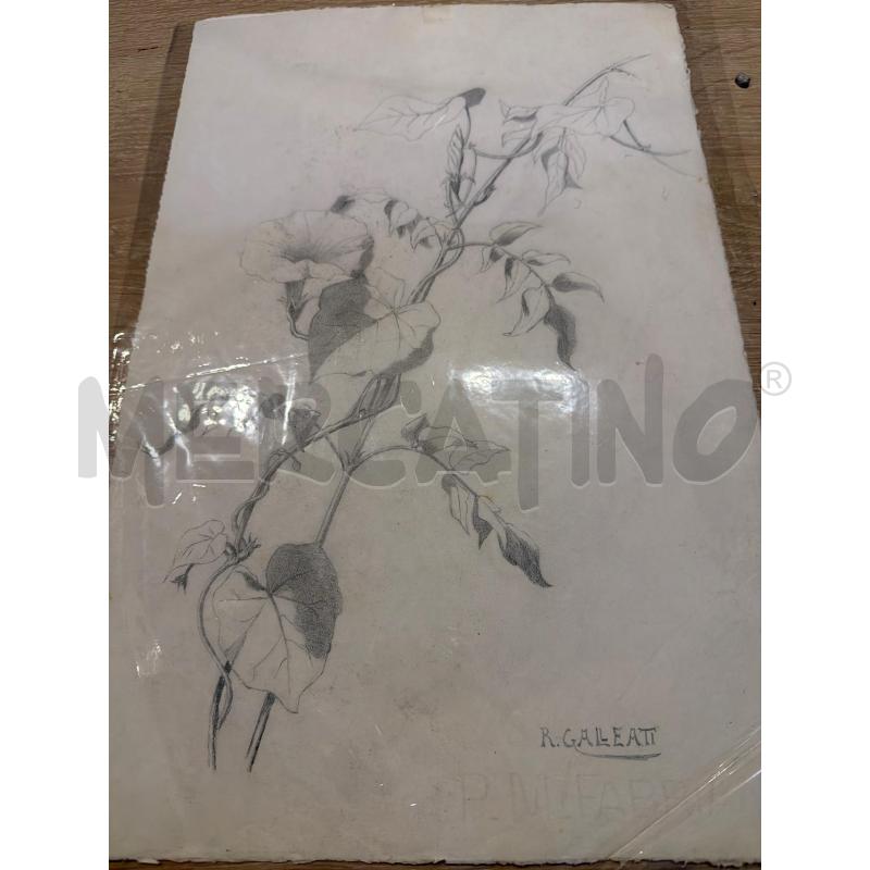 DISEGNO INIZI 900 COLLEZIONISMO CARTACEO  | Mercatino dell'Usato Faenza 2