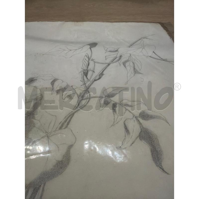 DISEGNO INIZI 900 COLLEZIONISMO CARTACEO  | Mercatino dell'Usato Faenza 3