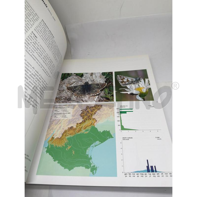 FARFALLE DEL VENETO  | Mercatino dell'Usato Faenza 2
