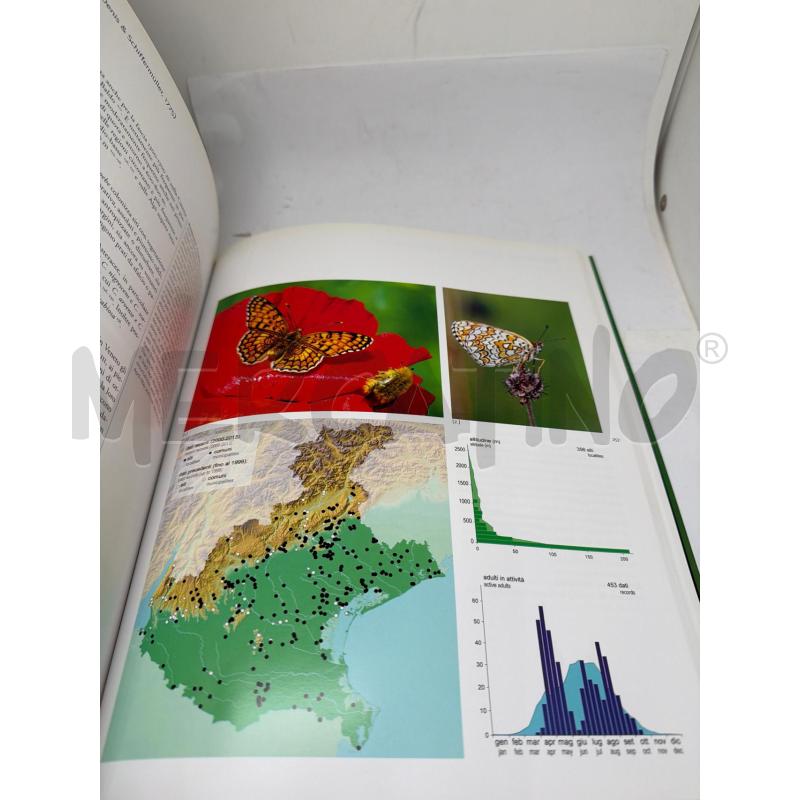 FARFALLE DEL VENETO  | Mercatino dell'Usato Faenza 4