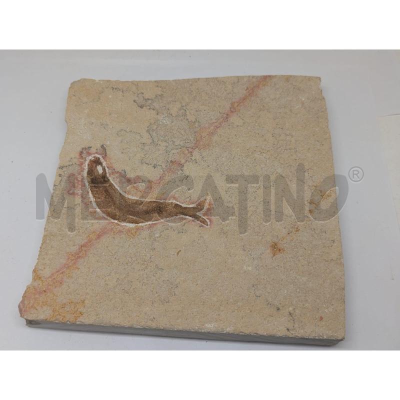 FOSSILE DOPPIO PESCE+VEGETALE COLLEZIONE - MATTONELLA 17X16CM | Mercatino dell'Usato Faenza 1
