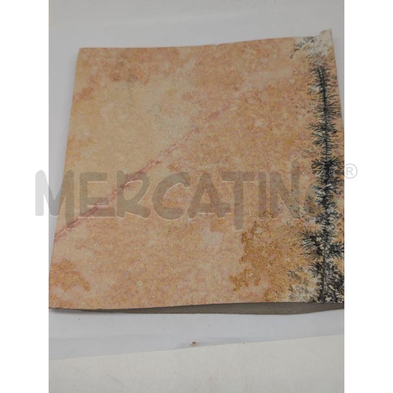 FOSSILE DOPPIO PESCE+VEGETALE COLLEZIONE - MATTONELLA 17X16CM | Mercatino dell'Usato Faenza 2