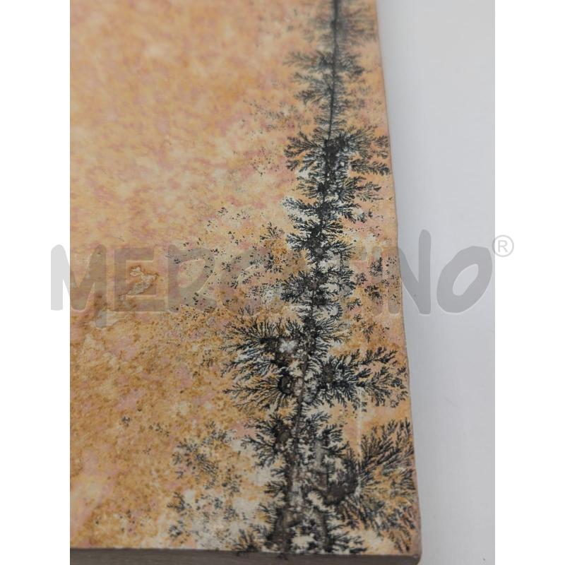 FOSSILE DOPPIO PESCE+VEGETALE COLLEZIONE - MATTONELLA 17X16CM | Mercatino dell'Usato Faenza 5