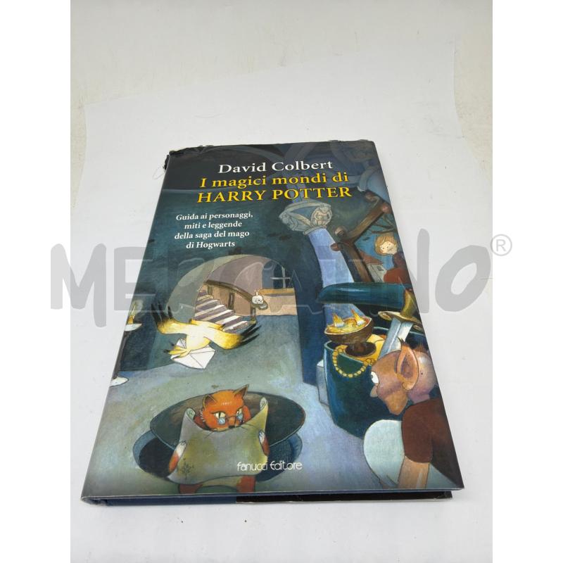 I MAGICI MONDI DI HARRY POTTER  | Mercatino dell'Usato Faenza 1