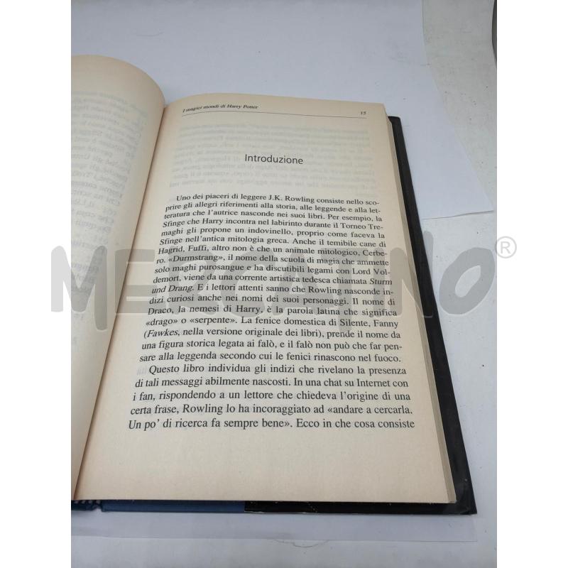 I MAGICI MONDI DI HARRY POTTER  | Mercatino dell'Usato Faenza 4