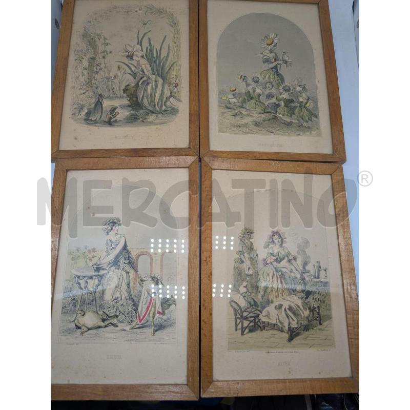 LOTTO 4 QUADRETTI STAMPE ERBE D'EPOCA COLLEZIONE | Mercatino dell'Usato Faenza 1