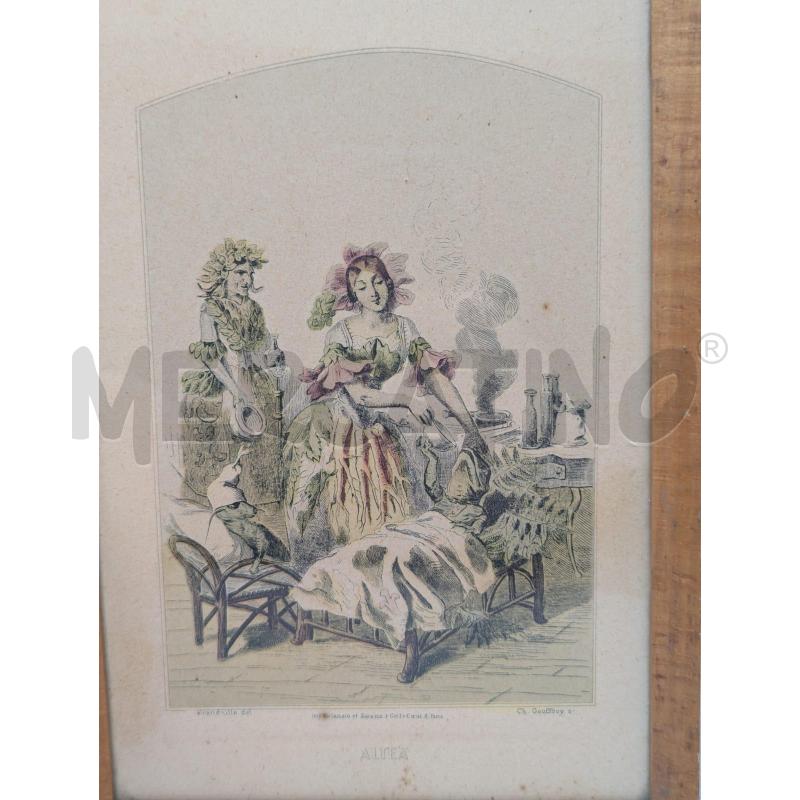 LOTTO 4 QUADRETTI STAMPE ERBE D'EPOCA COLLEZIONE | Mercatino dell'Usato Faenza 5