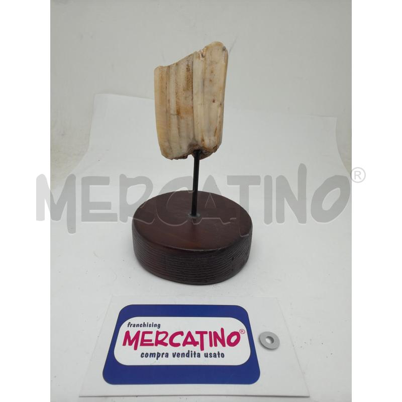 OGGETTO DA COLLEZIONE  | Mercatino dell'Usato Faenza 1