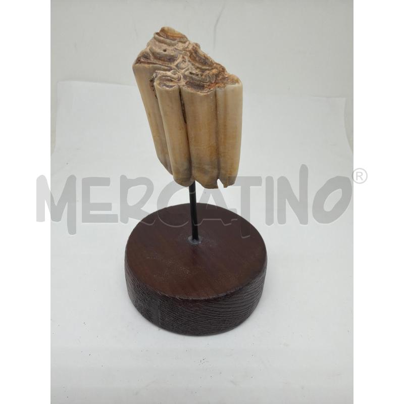 OGGETTO DA COLLEZIONE  | Mercatino dell'Usato Faenza 2