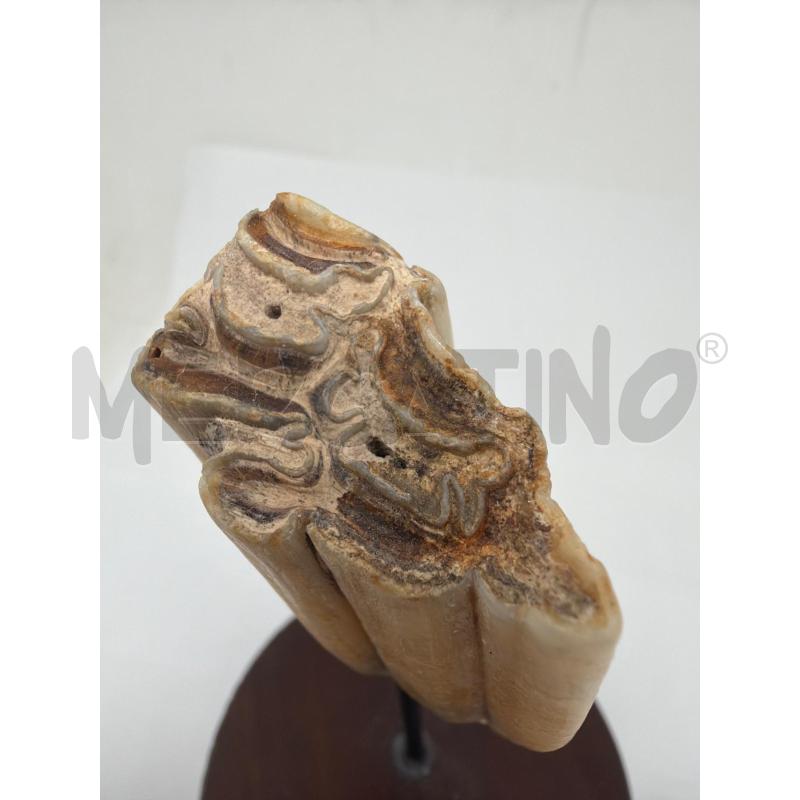 OGGETTO DA COLLEZIONE  | Mercatino dell'Usato Faenza 3