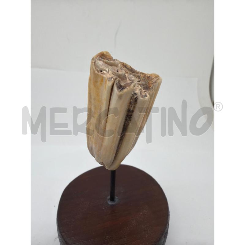 OGGETTO DA COLLEZIONE  | Mercatino dell'Usato Faenza 4
