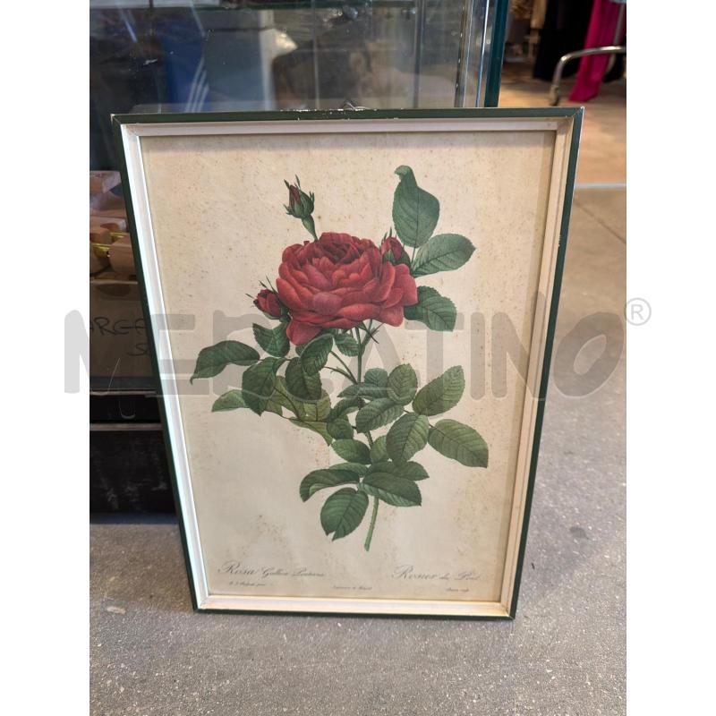 QUADRETTO STAMPA BOTANICA FIORI COLLEZIONE ARREDO | Mercatino dell'Usato Faenza 1