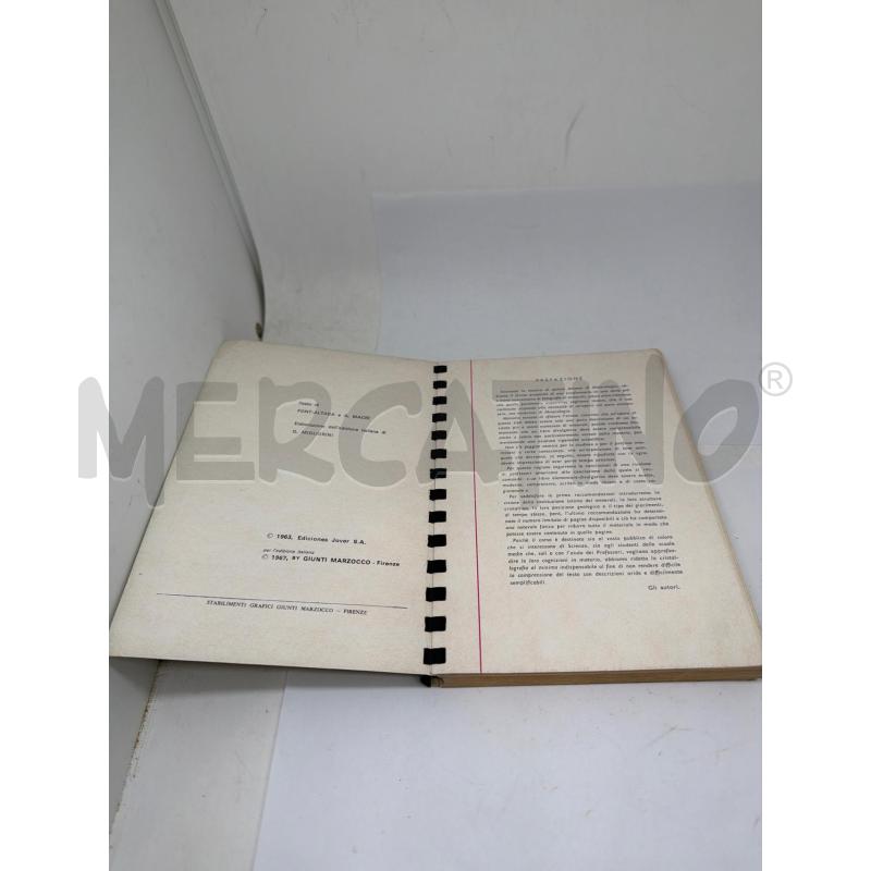 TAVOLE DI MINEROLOGIA - GIUNTI  | Mercatino dell'Usato Faenza 3