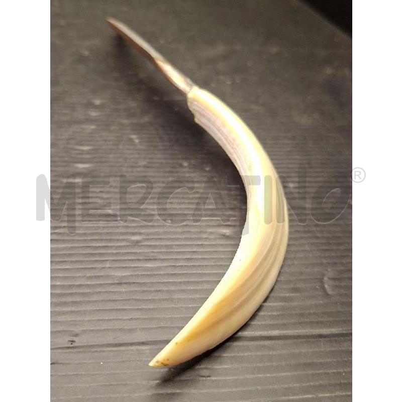 COLTELLO MANICO IN OSSO | Mercatino dell'Usato Lugo 3