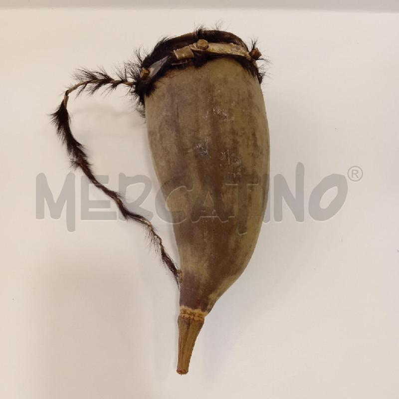 BONGO  AFRICANO | Mercatino dell'Usato Cesenatico 4
