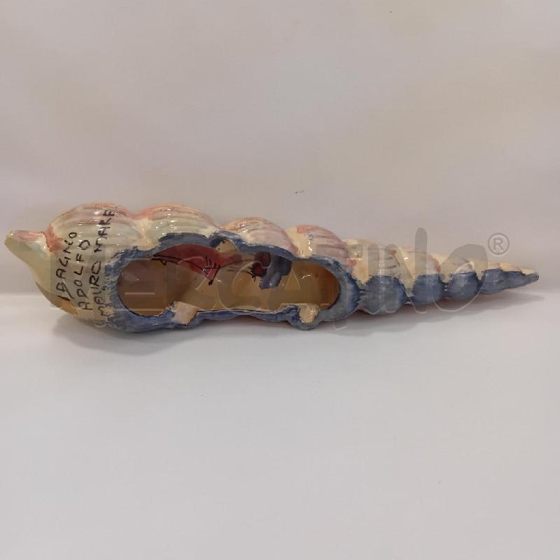 CONCHIGLIA CERAMICA POSACENERE BAGNO ADOLFO | Mercatino dell'Usato Cesenatico 3