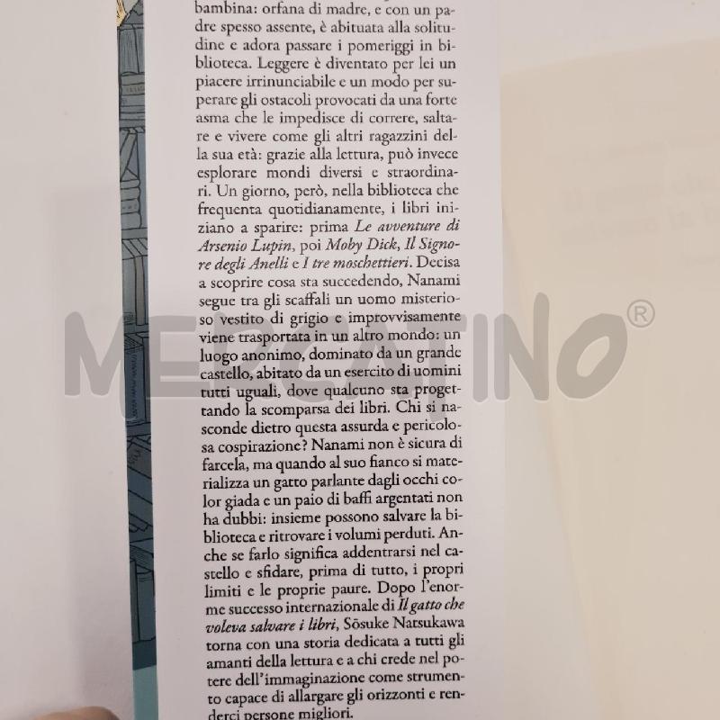 IL GATTO CHE3 VOLEVA SALVARE LA BIBLIOTECA  | Mercatino dell'Usato Cesenatico 3