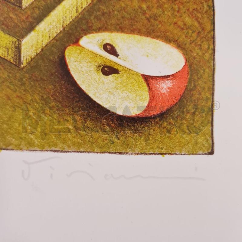 LITOGRAFIA VANNI VIVIANI 4/150 | Mercatino dell'Usato Cesenatico 2