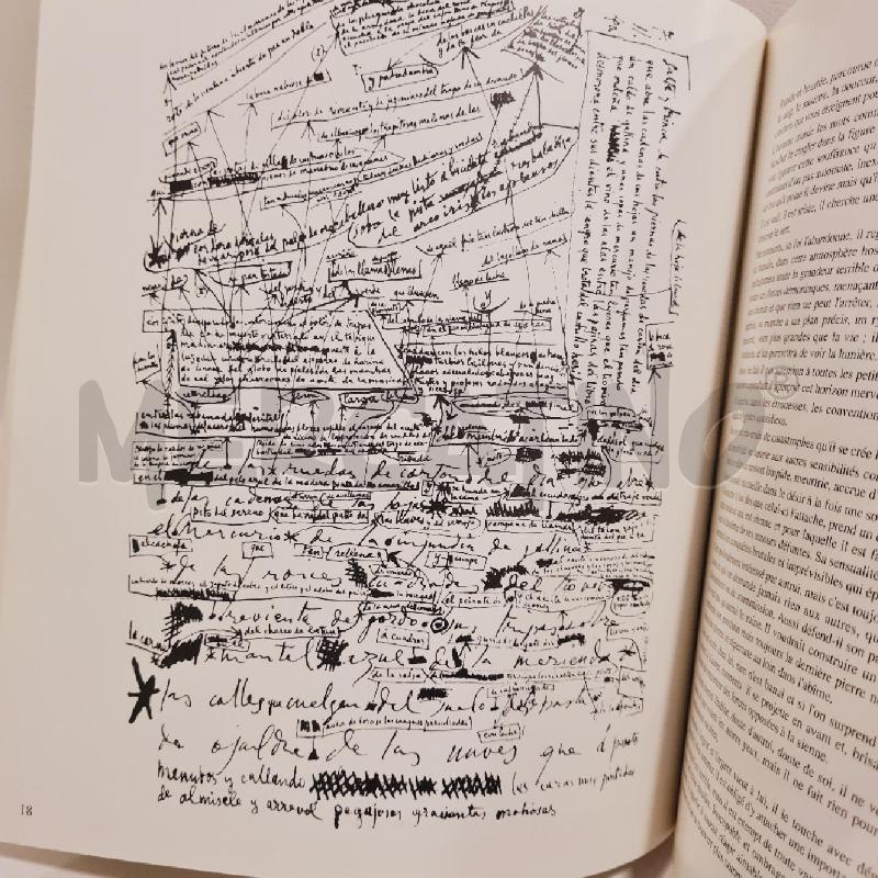 PICASSO POETE' | Mercatino dell'Usato Cesenatico 4