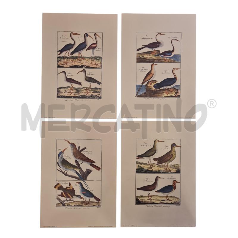 STAMPE X 4 UCCELLI SERIE STORIA NATURALE | Mercatino dell'Usato Cesenatico 1