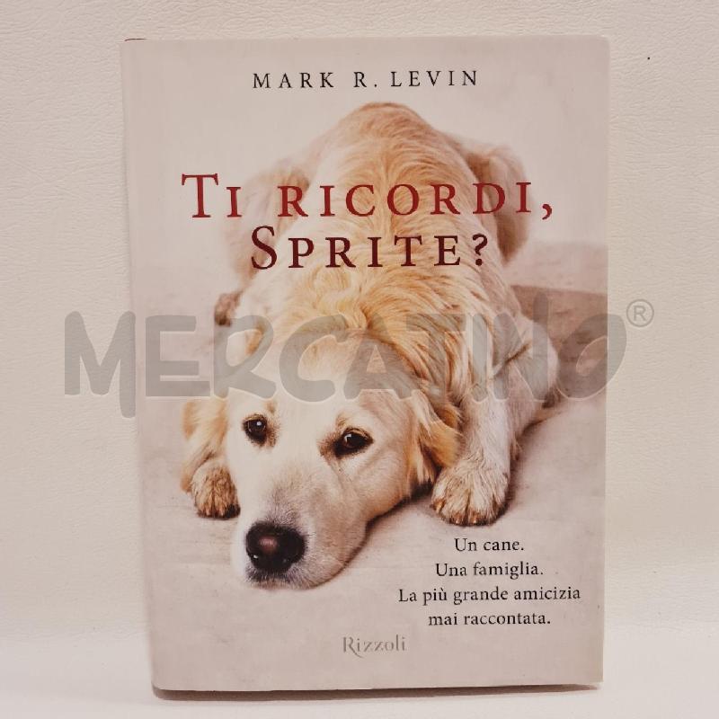 TI RICORDI, SPRITE? | Mercatino dell'Usato Cesenatico 1