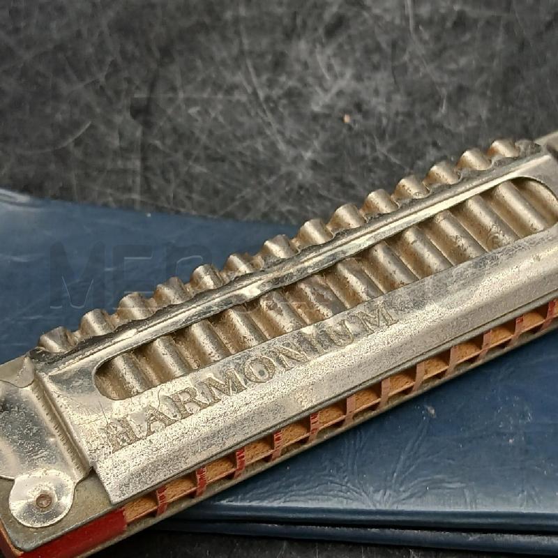 ARMONICA KOGH  | Mercatino dell'Usato Roma garbatella 4