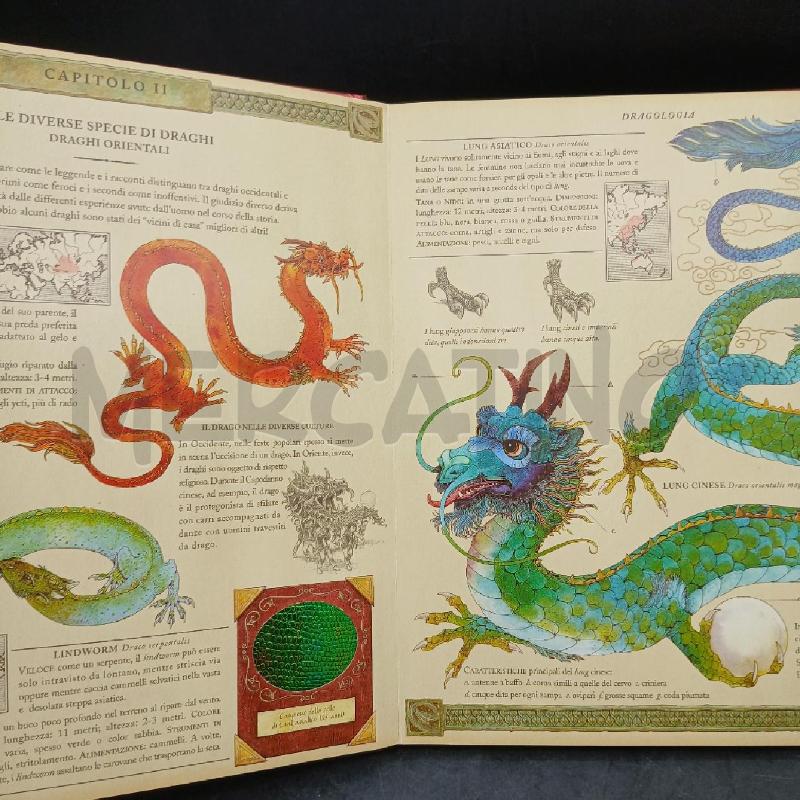 DRAGOLOGIA RIZZOLI  | Mercatino dell'Usato Roma garbatella 5
