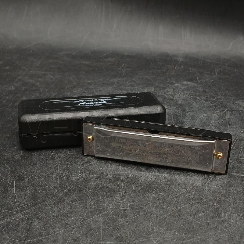 FISARMONICA 10 HOLES CON BOX NERA | Mercatino dell'Usato Roma garbatella 1