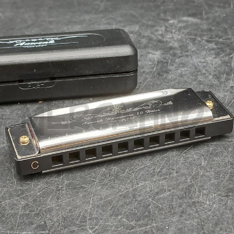 FISARMONICA 10 HOLES CON BOX NERA | Mercatino dell'Usato Roma garbatella 3