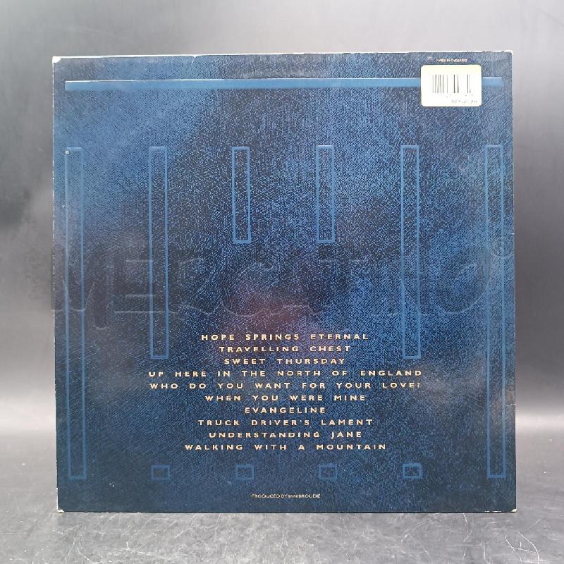 LP ICICLE WORKS IF YOU WANT TO DEFEAT YOUR ENEMY | Mercatino dell'Usato Roma garbatella 2