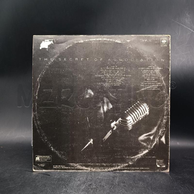LP PAUL YOUNG THE SECRET OF ASSOCIATION | Mercatino dell'Usato Roma garbatella 2