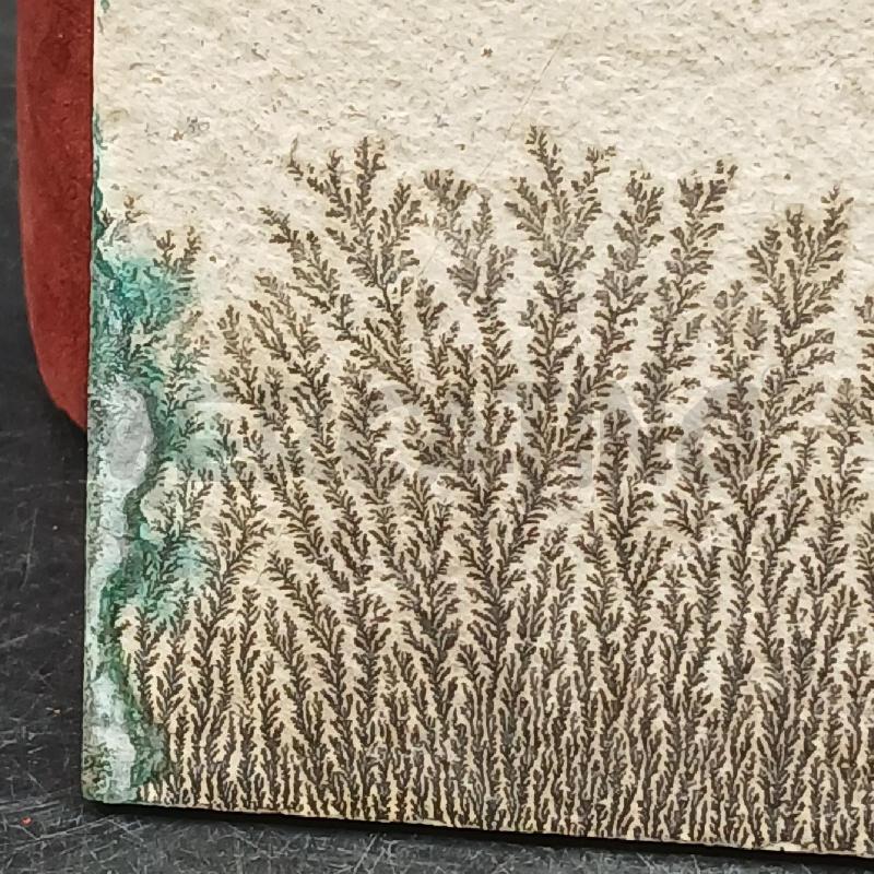 MAIOLICA FIORI B VERD | Mercatino dell'Usato Roma garbatella 2