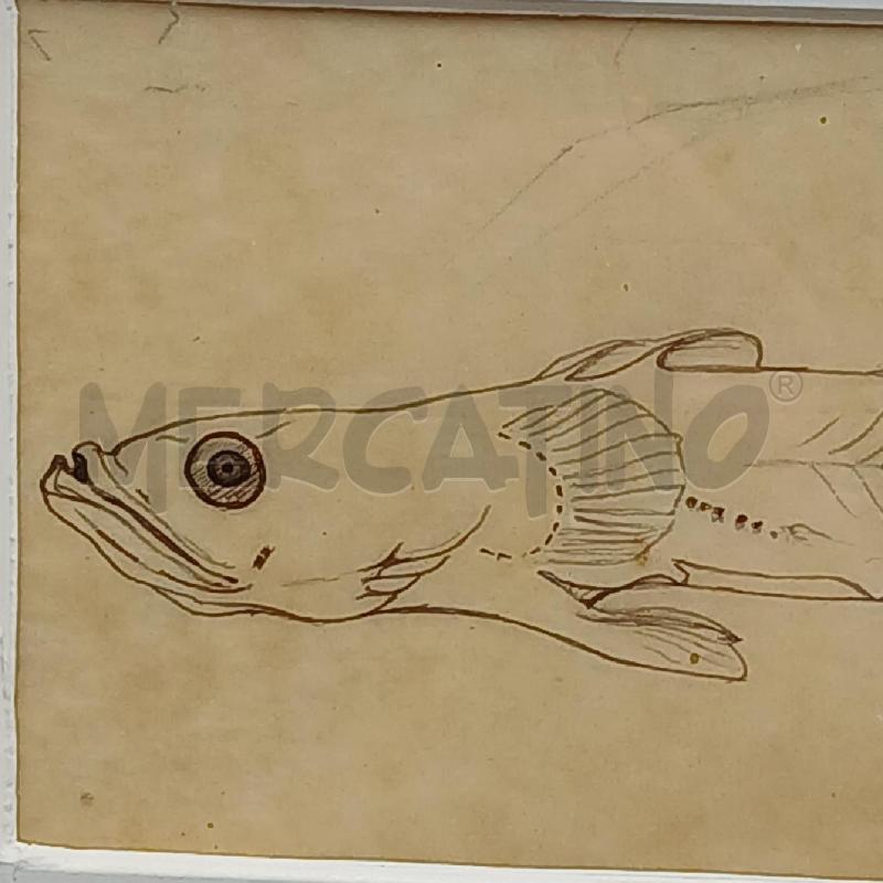 MATITA STUDIO DI PESCE | Mercatino dell'Usato Roma garbatella 2