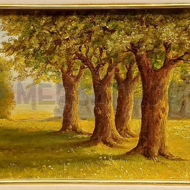OLIO SU TAVOLA ALBERI PASCOLO BIRINDELLI | Mercatino dell'Usato Roma garbatella 3