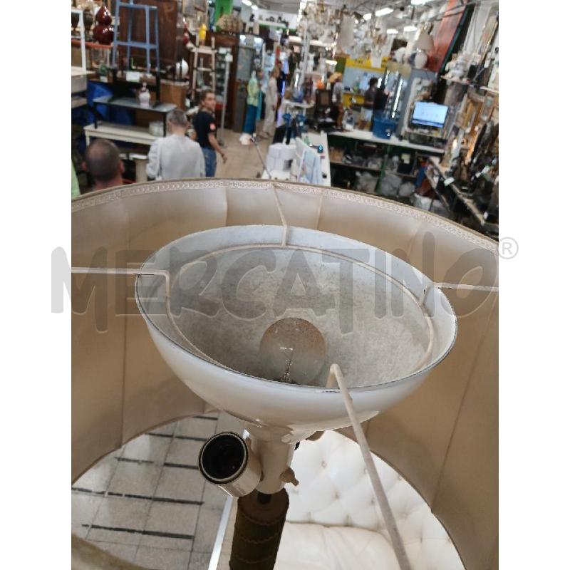 PIANTANA DORATA | Mercatino dell'Usato Roma garbatella 5