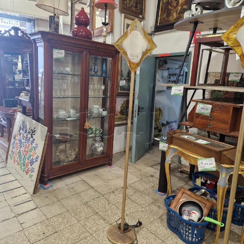 PIANTANA DOR LA MURRINA | Mercatino dell'Usato Roma garbatella 1