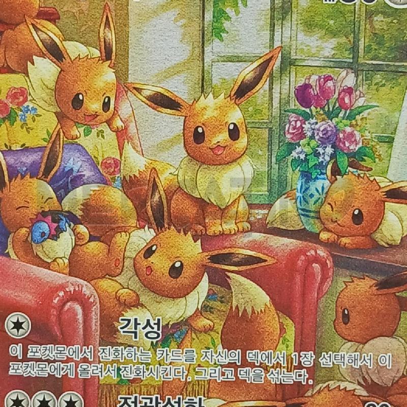 PKM EEVEE KOR | Mercatino dell'Usato Roma garbatella 2