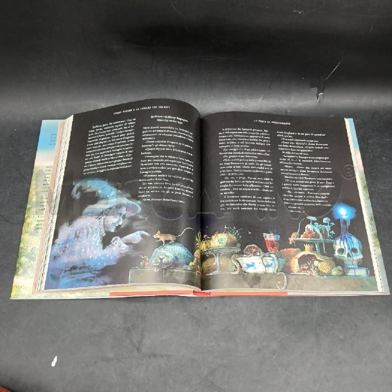 ROWLING E LA CAMERA DEI SEGRETI ILLUSTRAZIONI | Mercatino dell'Usato Roma garbatella 4