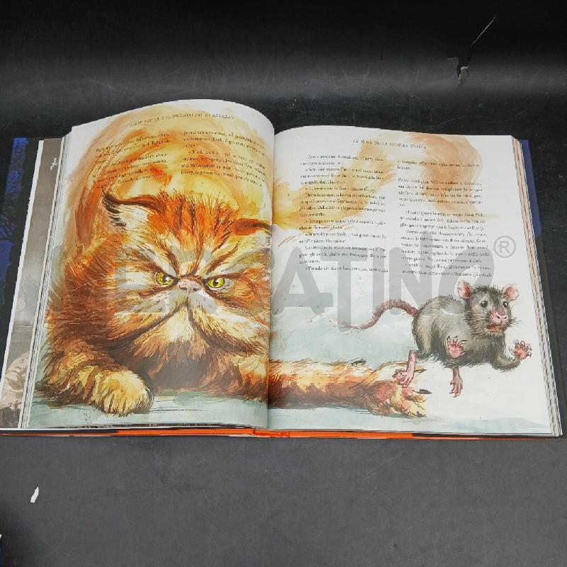 ROWLING IL PRIGIONIERO DI AZKABAN ILLUSTRAZIONI | Mercatino dell'Usato Roma garbatella 4