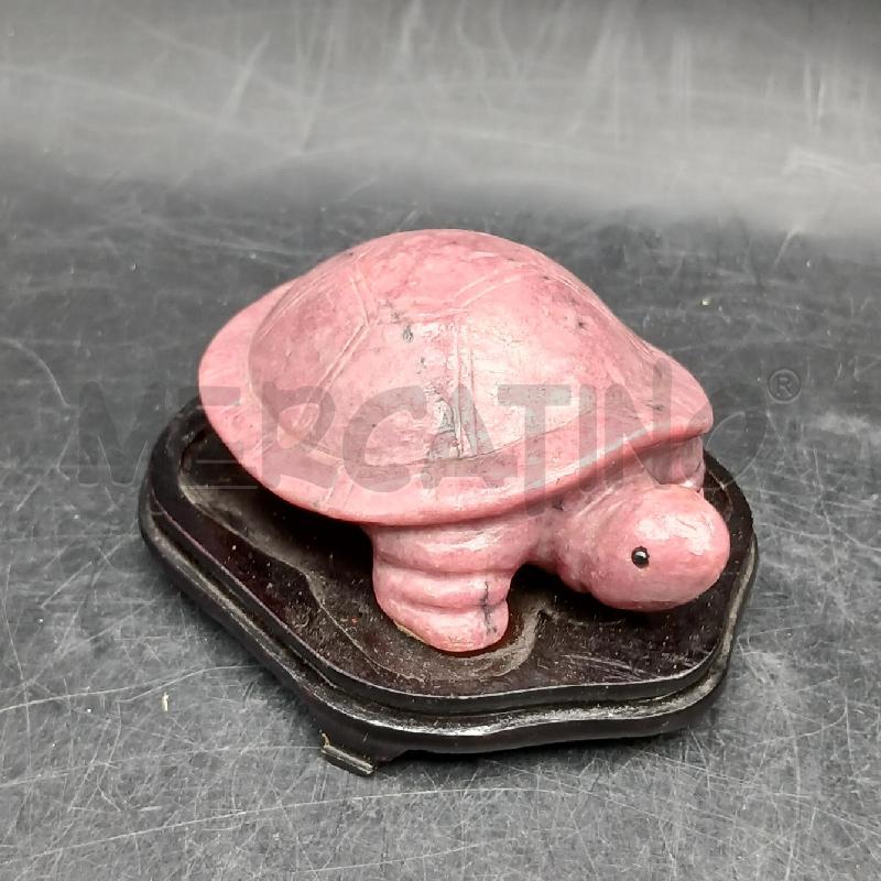 TARTARUGA PIETRA ROSA | Mercatino dell'Usato Roma garbatella 1