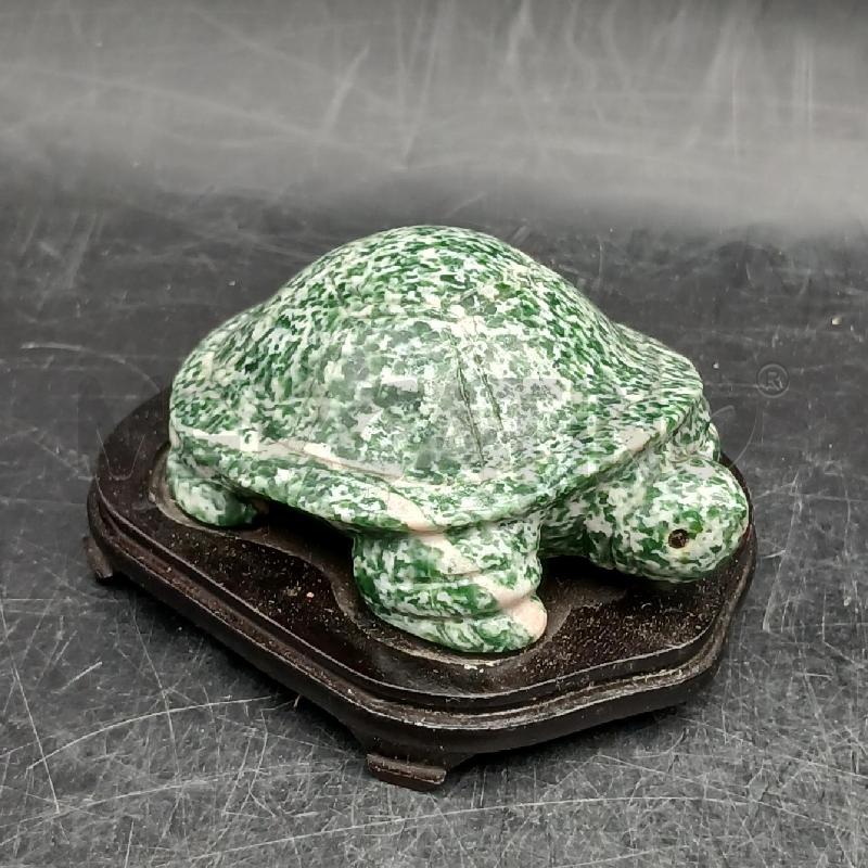 TARTARUGA VERDE MACCHIE  | Mercatino dell'Usato Roma garbatella 1