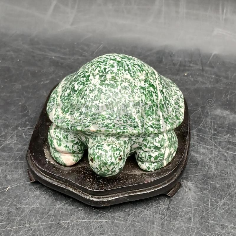 TARTARUGA VERDE MACCHIE  | Mercatino dell'Usato Roma garbatella 2