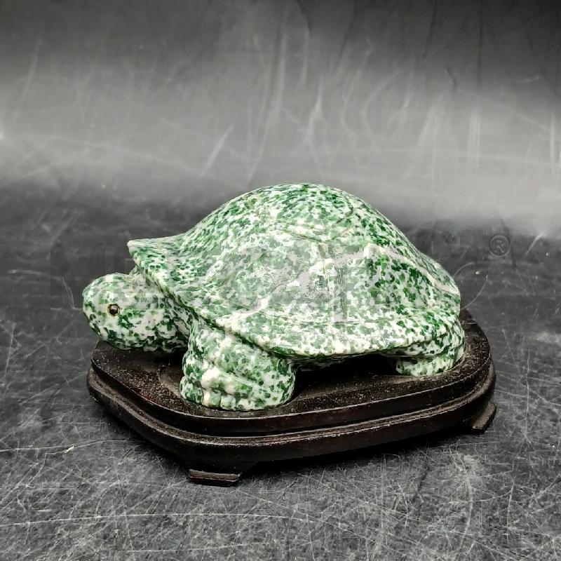 TARTARUGA VERDE MACCHIE  | Mercatino dell'Usato Roma garbatella 3