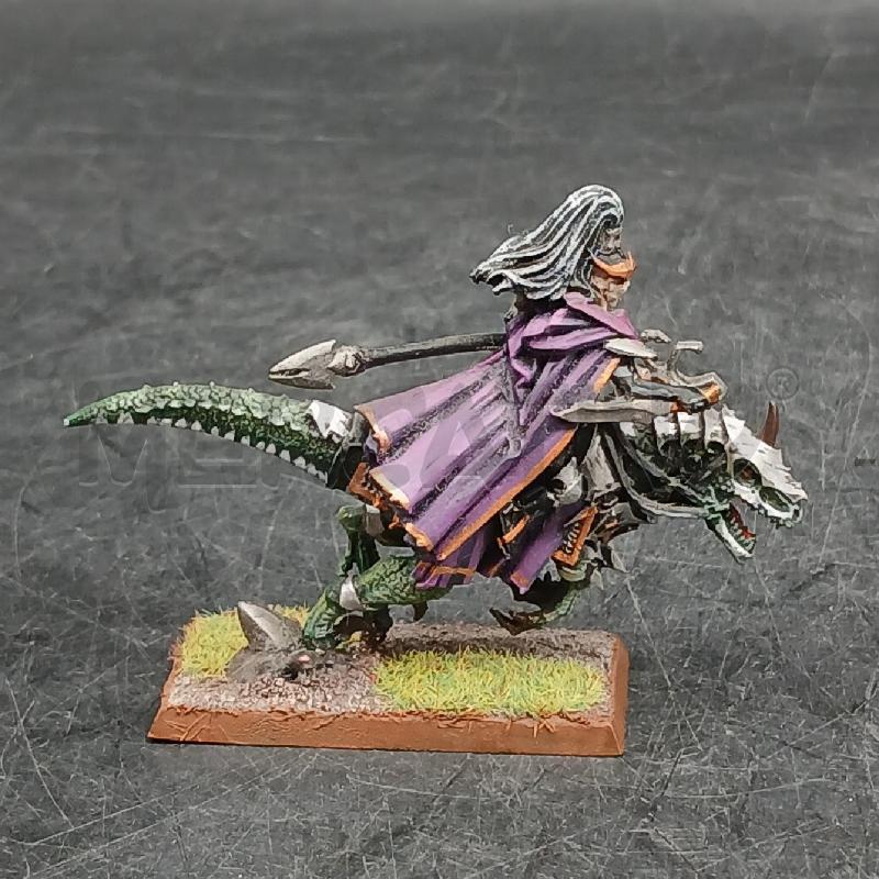 WARHAMMER SUPREME SORCERESS BASETTA  | Mercatino dell'Usato Roma garbatella 2